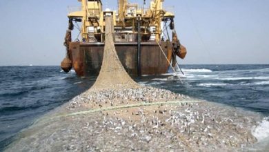 A picture representation of illegal transshipment of fish at sea (Saiko) culled from Ghana News Agency