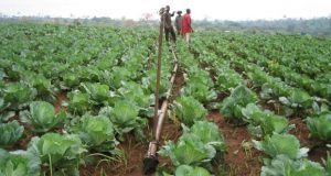 Farmers in the Upper West Region urge government to implement the ‘One District One Dam pledge’