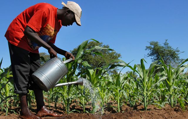 Farmers in the Upper West Region urge government to implement the ‘One District One Dam pledge’Farmers in the Upper West Region urge government to implement the ‘One District One Dam pledge’