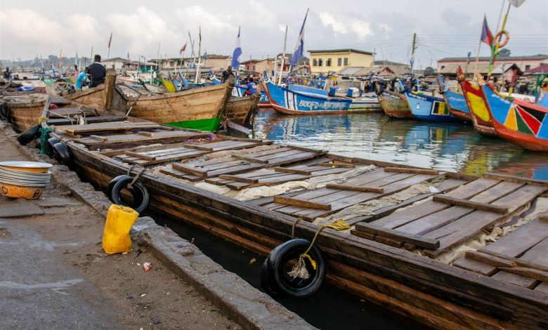 Frozen fish in slabs packed in a canoe in Elmina