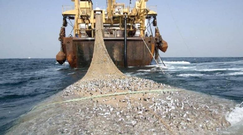 A picture representation of illegal transshipment of fish at sea (Saiko) culled from Ghana News Agency