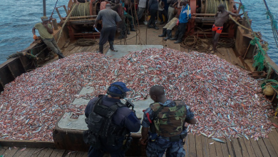 A U.S. Coast Guard law enforcement detachment member and a Ghanaian navy sailor inspect a fishing vessel suspected of illegal fishing during the Africa Maritime Law Enforcement Partnership (U.S. Navy photo by Kwabena Akuamoah-Boateng/Released) culled from https://kasapafmonline.com/2017/05/ghana-outdoor-watchdog-committees-clamp-illegal-fishing/