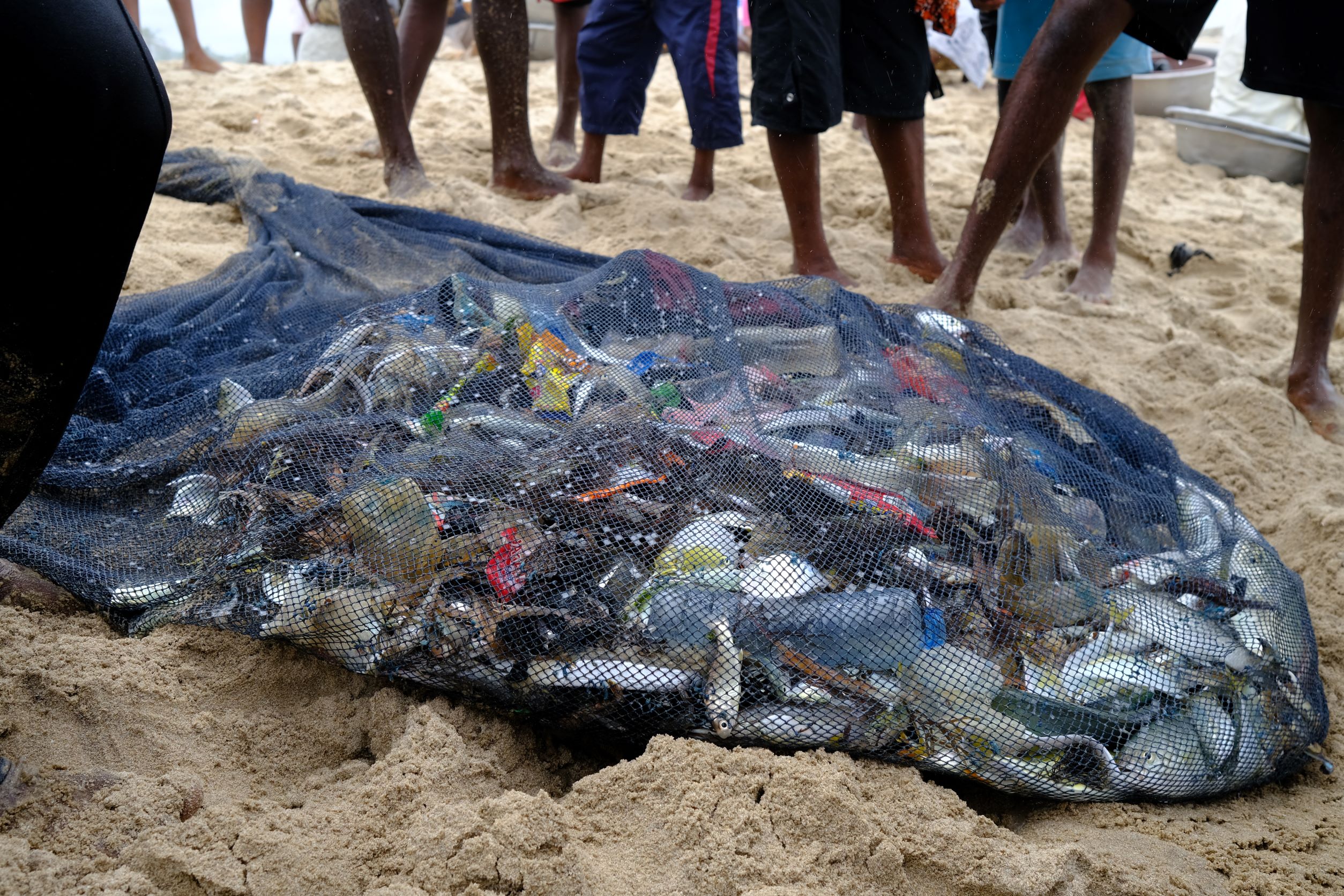 Catch by fishers at Bortiano landing beach, contains plastic waste, credit: AL-Fattah