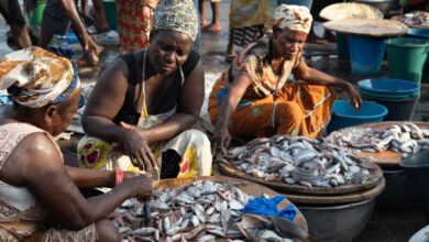 Fishmongers at Elmina landing beach, credit: EJF