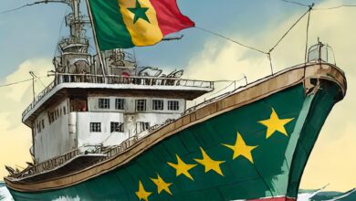 An industrial fishing vessel flying the flag of Cameroon. Illustration by Multimedia Solutions, 2023