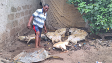 Kweku Essien, An illegal sea turtle trader in his turtle shed at Nyanyano, Image credit: Gideon Sarpong, 2024