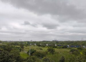 Coal trucks queuing to offload at the Port of Richards Bay. CREDIT: Oliver Stallwood