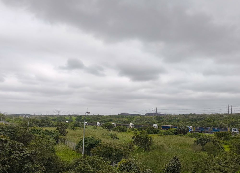 Coal trucks queuing to offload at the Port of Richards Bay. CREDIT: Oliver Stallwood